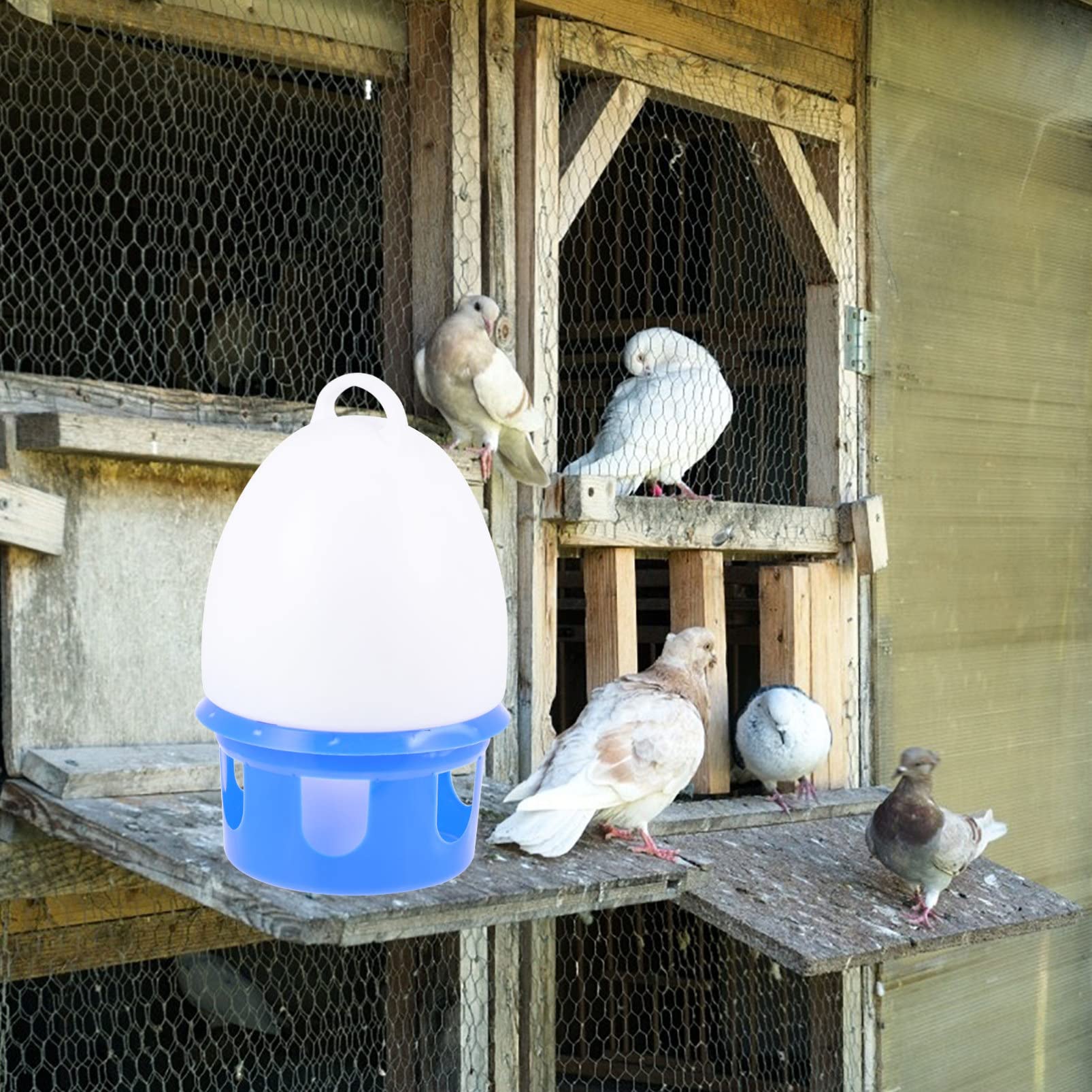 Alipis abreuvoir oiseaux pigeons PVC bleu 10L suspendu