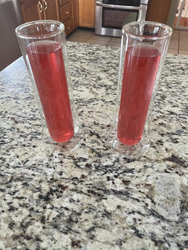 JoyJolt Cosmo Double Wall verre champagne 15 cl lot 2 double paroi