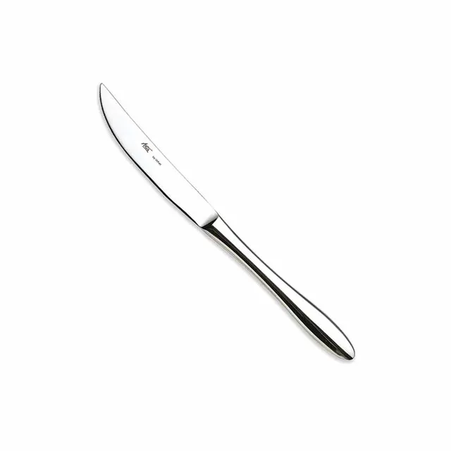 Artis Spooon couteau de table 24 cm inox