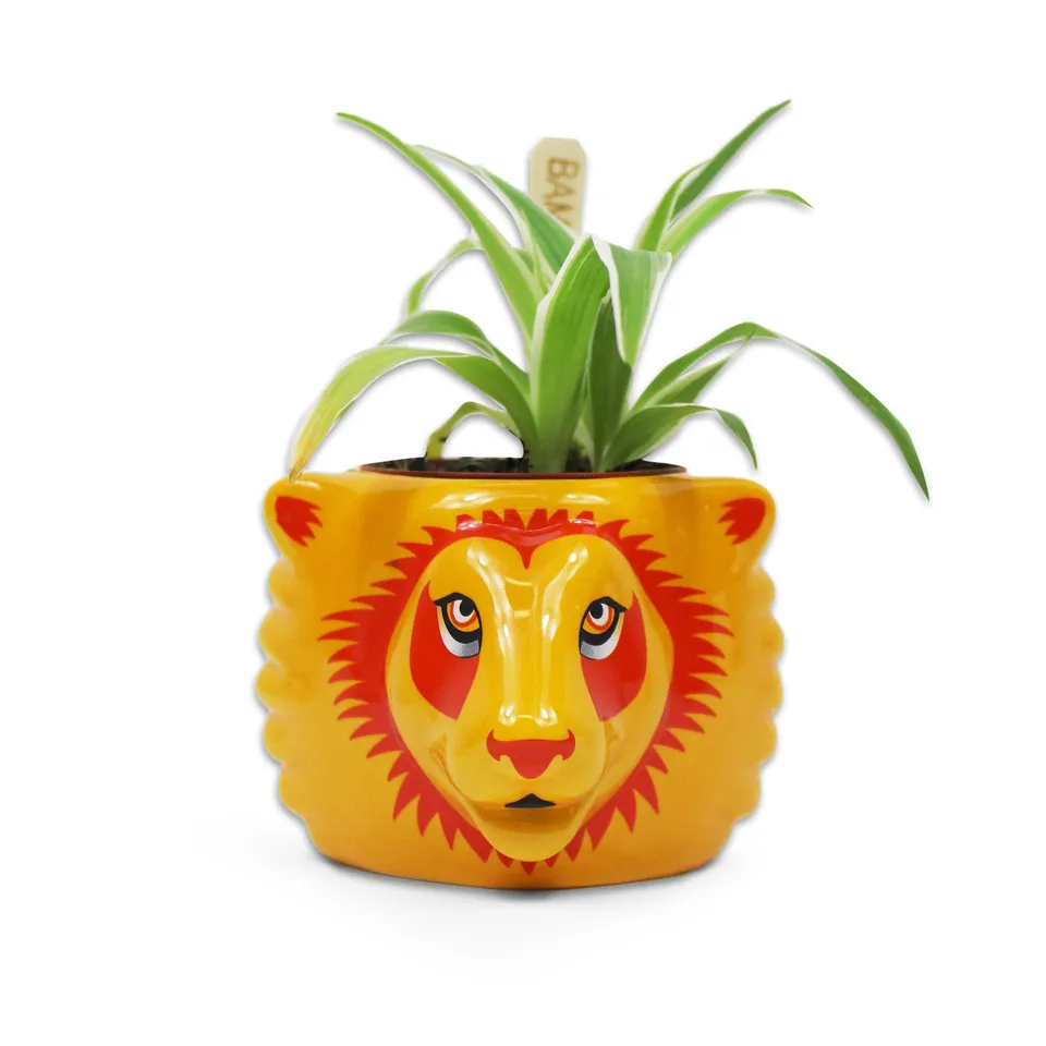 Harry Potter Gryffondor pot céramique 22 cl