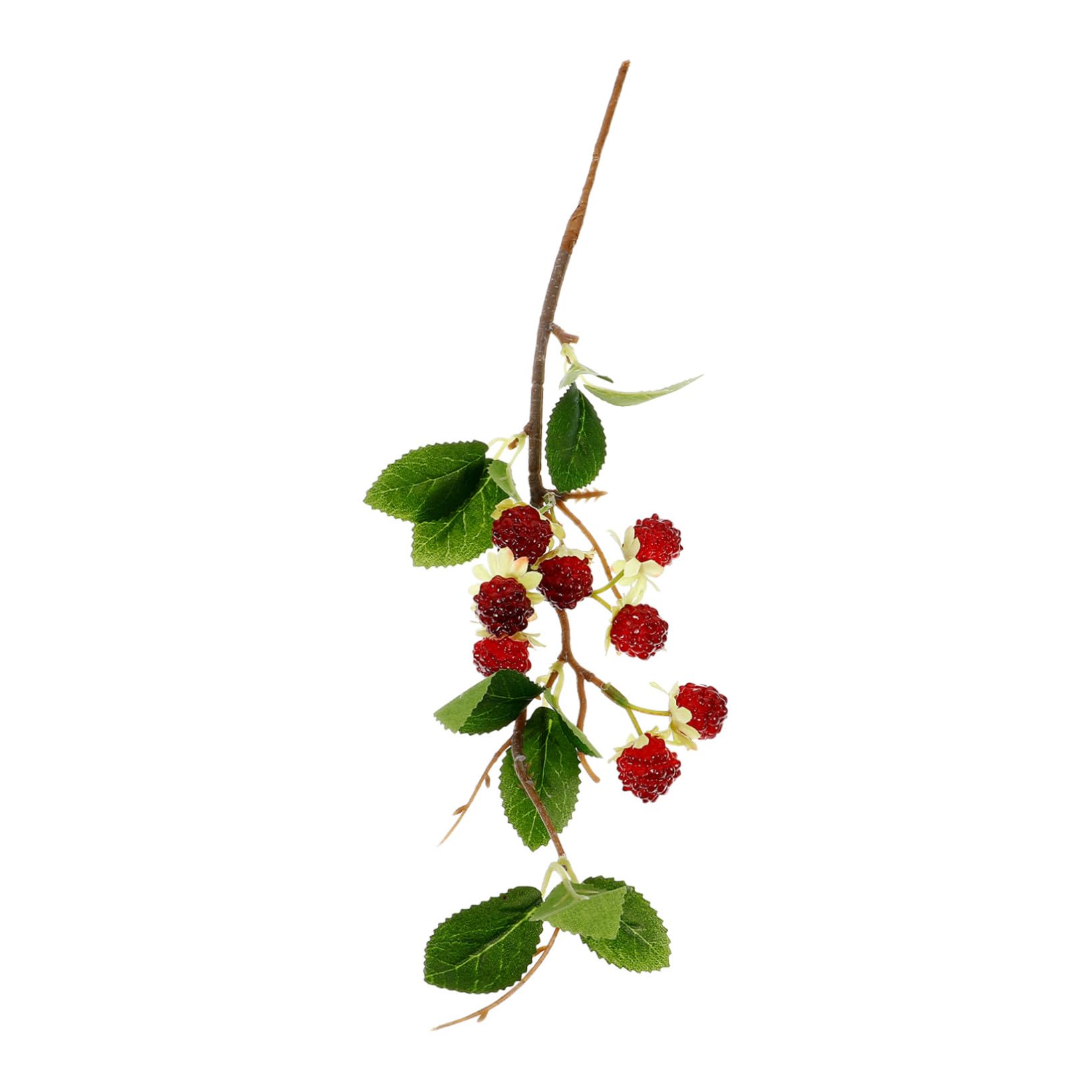 Alipis framboises artificielles multicolore déco table