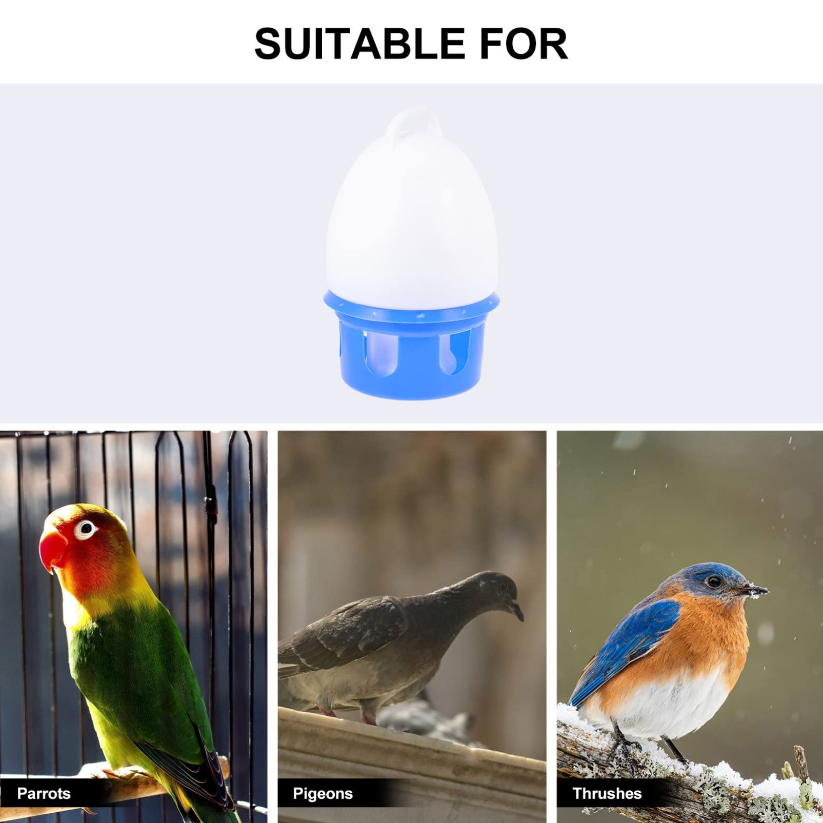Alipis abreuvoir oiseaux pigeons PVC bleu 10L suspendu
