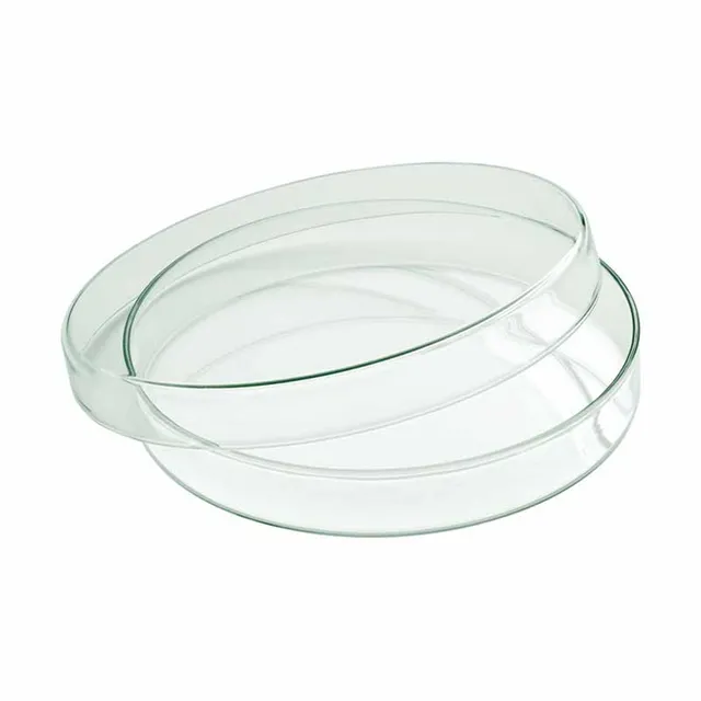 Artis bol verre avec couvercle 18 cm