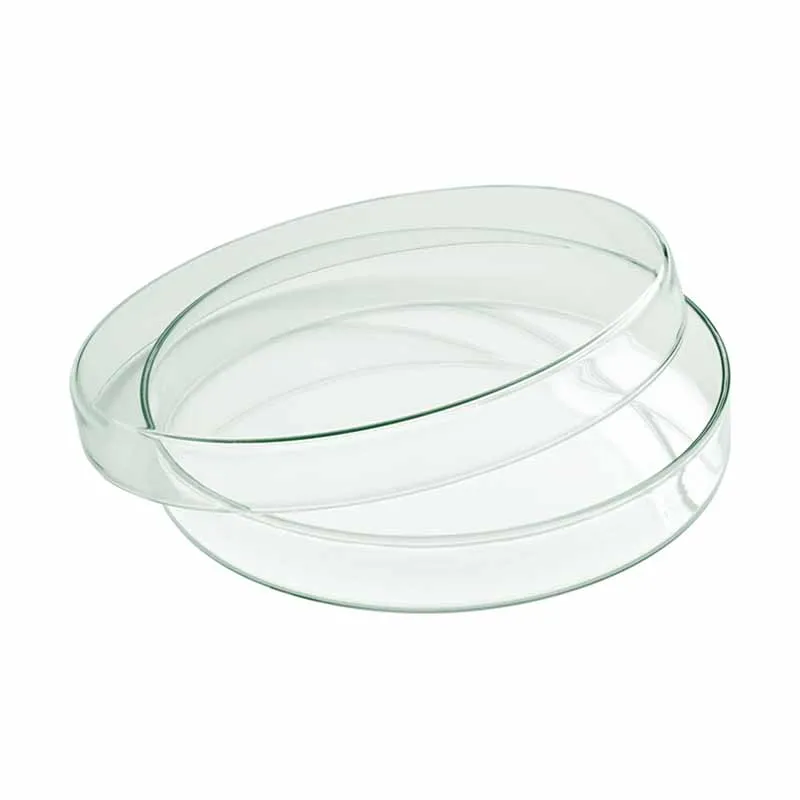 Artis bol verre avec couvercle 18 cm