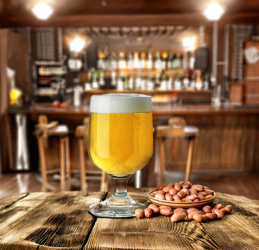 Artis Gemini verre à bière sur pied 29 cl