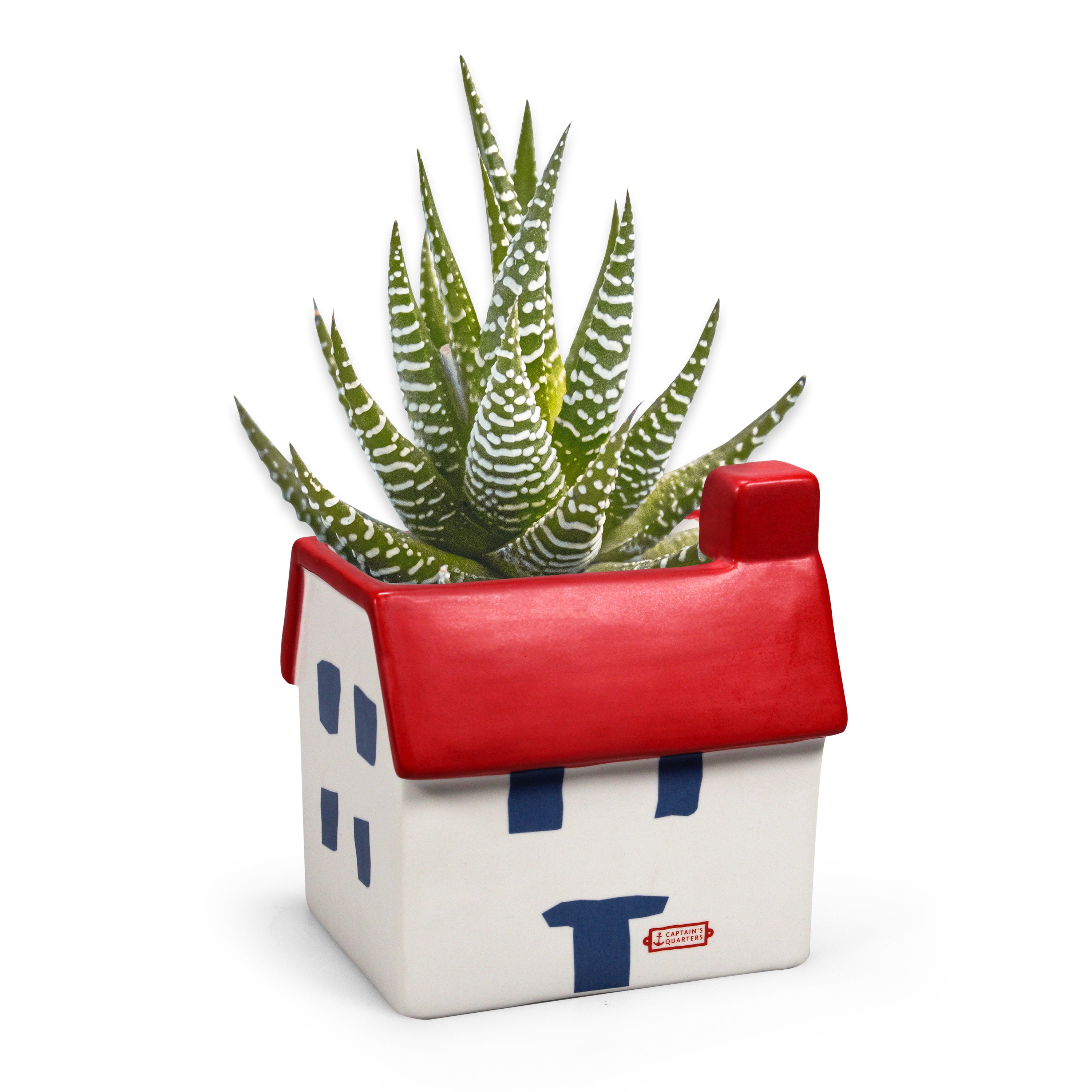 Coastal House cache-pot céramique blanc 13 cm