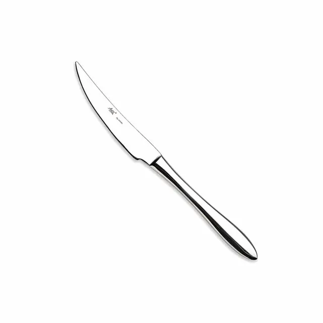 Artis Spooon couteau steak pizza 24 cm