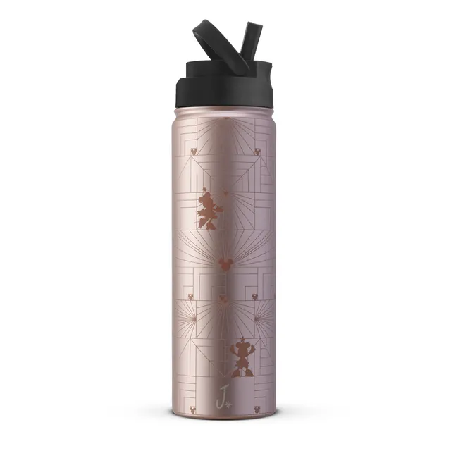 JoyJolt Disney Minnie MonoMouse gourde inox 65 cl paille