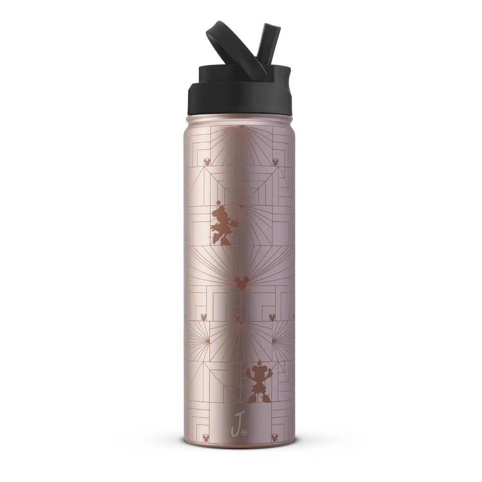 JoyJolt Disney Minnie MonoMouse gourde inox 65 cl paille