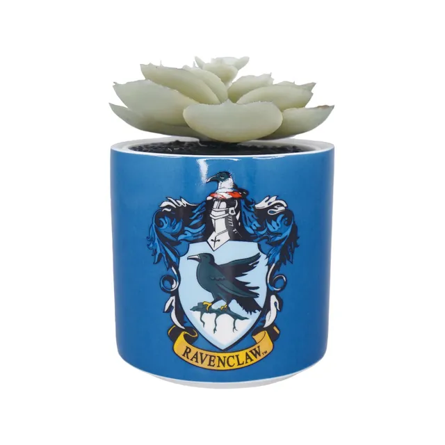 HMB Harry Potter Ravenclaw cache-pot plante artificielle 15 cl